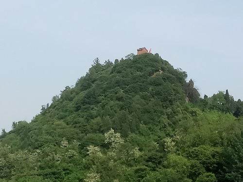 IMG_20170506_162848.jpg