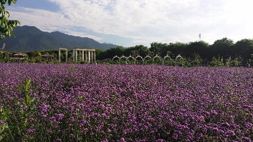 P70610-175357.jpg