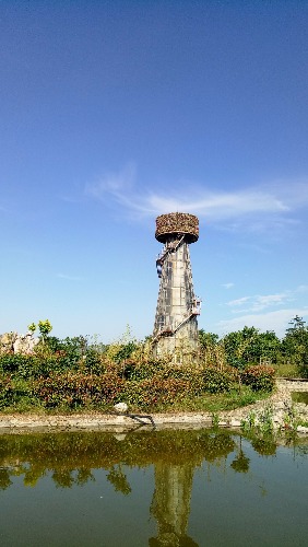 P70610-171824.jpg