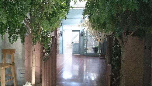 P70610-171348.jpg