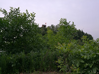 IMG_20170613_192233_.jpg