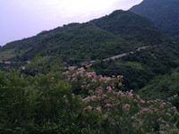 IMG_20170613_195201_.jpg