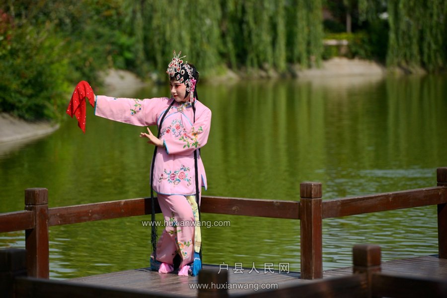 DSC_6801.JPG