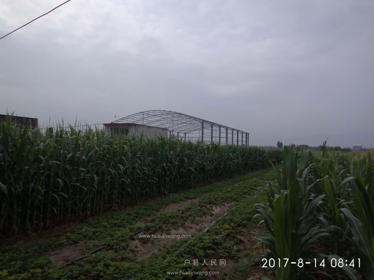 ΢ͼƬ_20170814142902.jpg