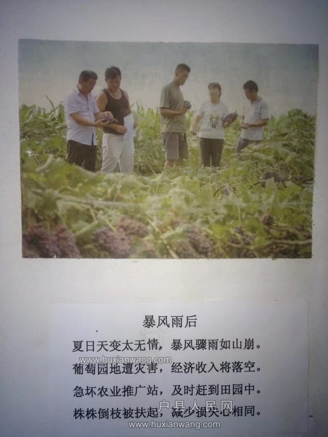 psb (10).jpg