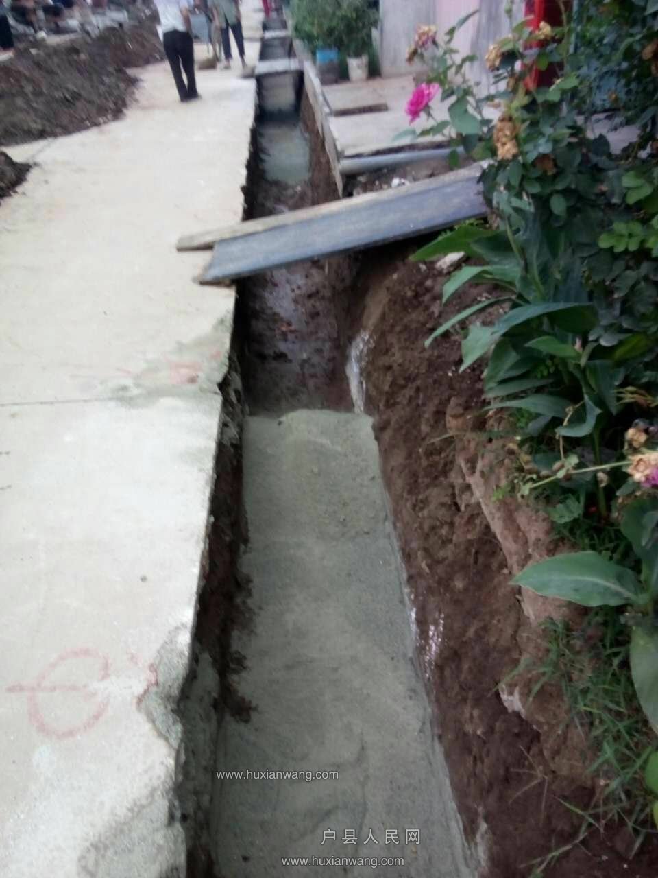 589816415.jpg