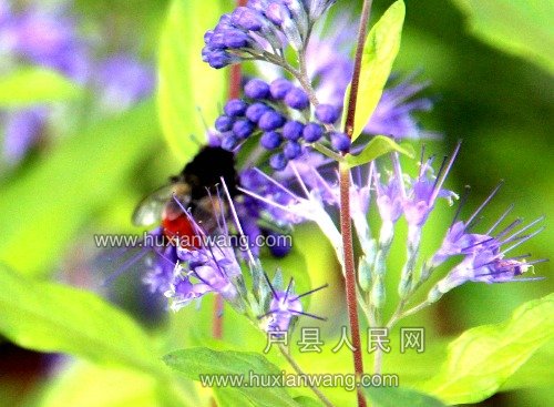IMG_0052.JPG