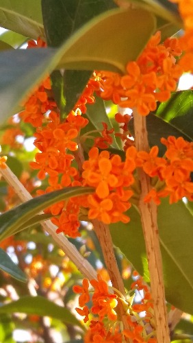 20170911_084656.jpg
