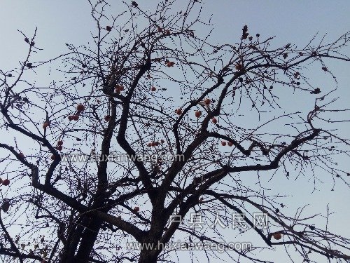 IMG_20171112_165149.jpg