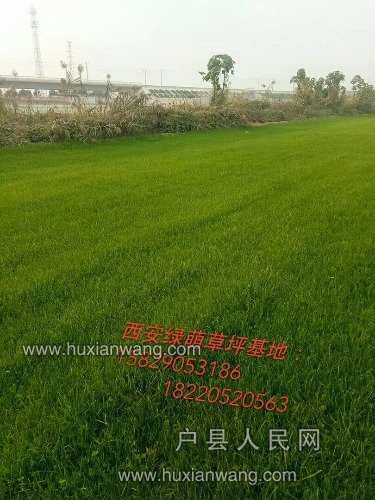 mmexport1510921982879.jpg