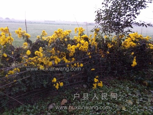 IMG_20171120_081146.jpg