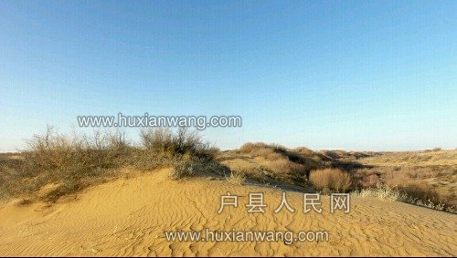 IMG_20171129_062654.JPG