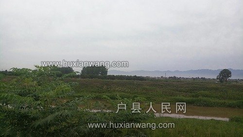 P70708-162149.jpg