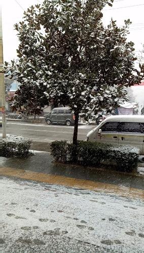 wx_camera_1514964336352.jpg