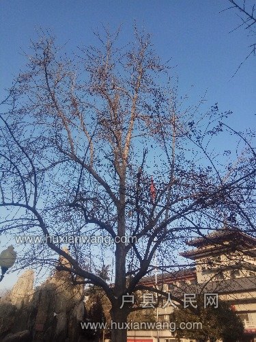 IMG_20180109_090233.jpg