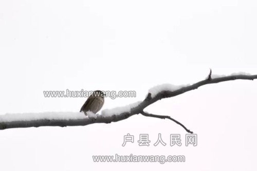 625B6245-1954-4E91-A4C5-FE7FF8966963.jpeg