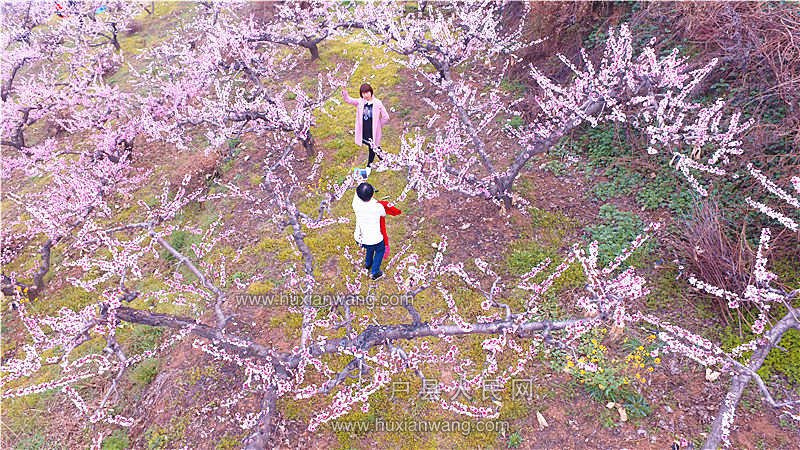 DJI_0024.JPG