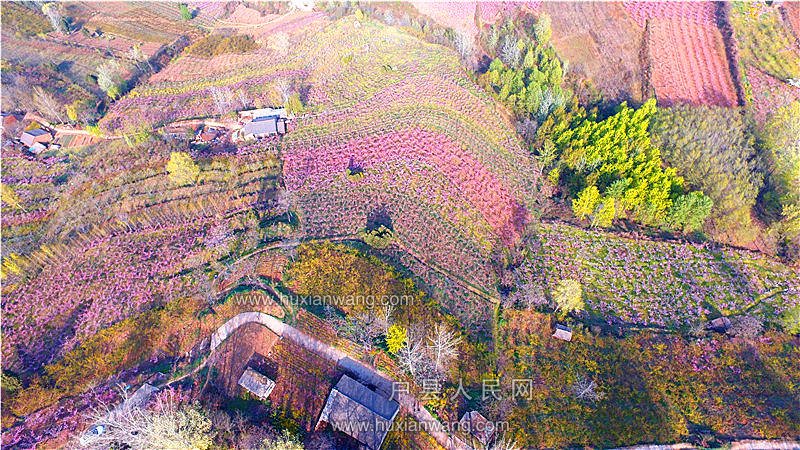 DJI_0021.JPG