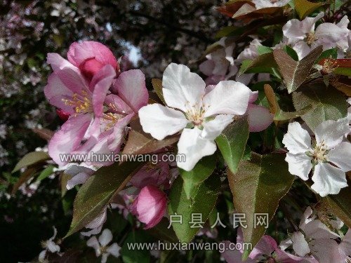 IMG_20180401_092314.jpg