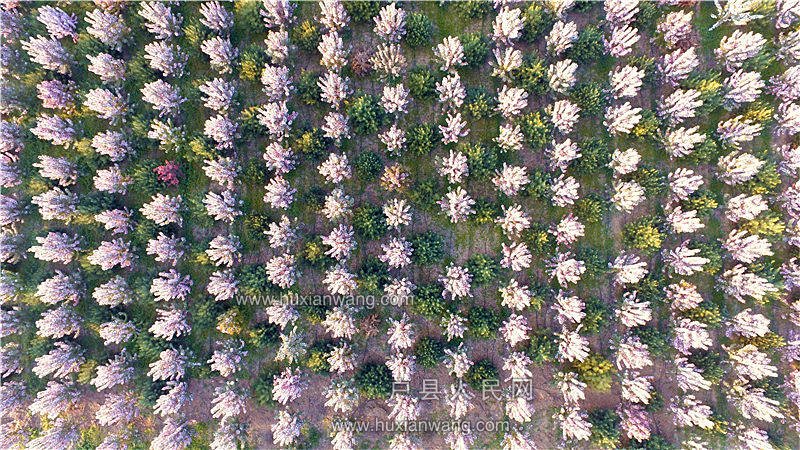 DJI_0037.JPG