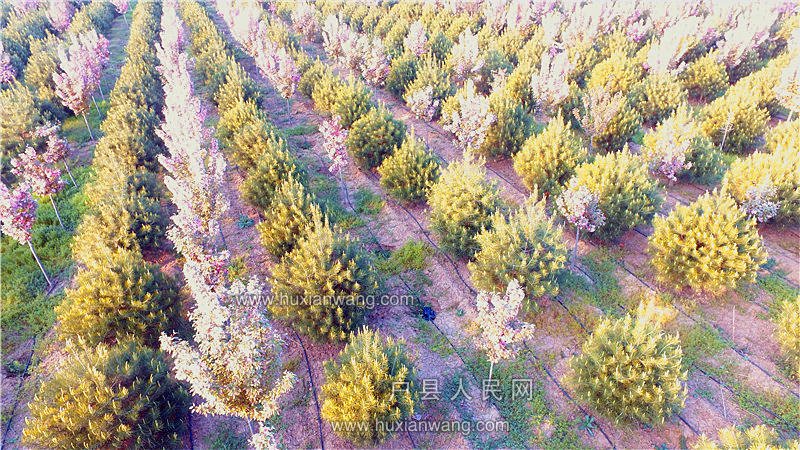 DJI_0032.JPG