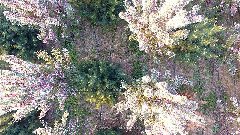 DJI_0039.JPG