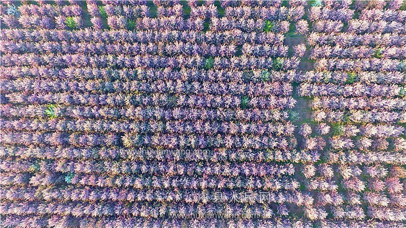 DJI_0052.JPG