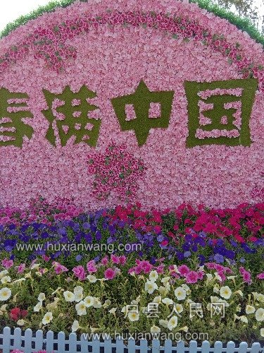 IMG_20180513_152711.jpg