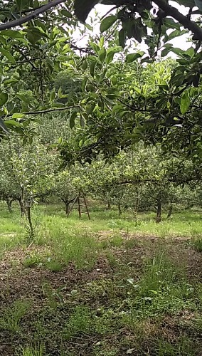 wx_camera_1527497507417.jpg