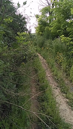 wx_camera_1527497441343.jpg