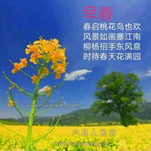 hdImg_4ac5bb5b24deac3ce05e5d9424dcdd8f1530498072253.jpg