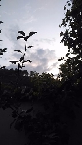 wx_camera_1532866343881.jpg