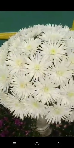 Screenshot_20181029_103143.jpg