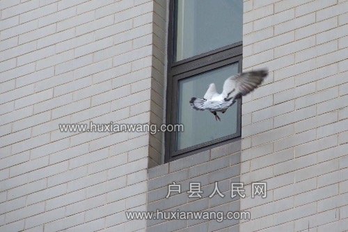 D243172F-352D-472C-97AC-538C31FE722A.jpeg