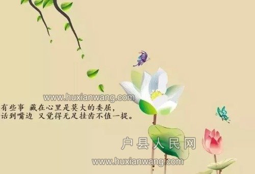 mmexport1551071078660.jpg