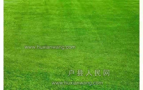 mmexport1551187494379.jpg