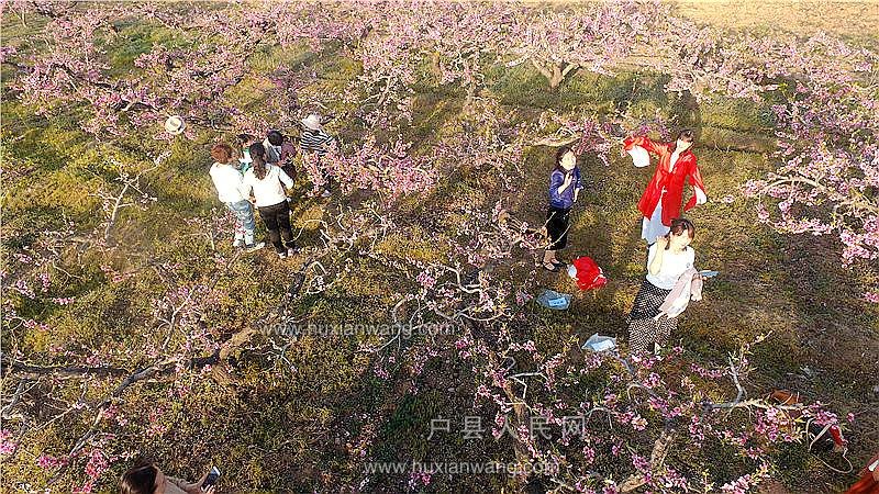 DJI_0018.JPG
