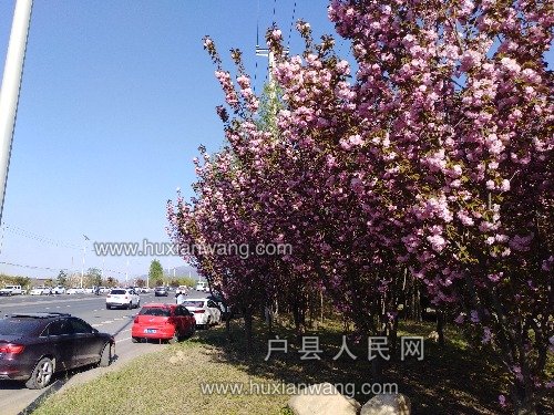 IMG_20190405_165406.jpg