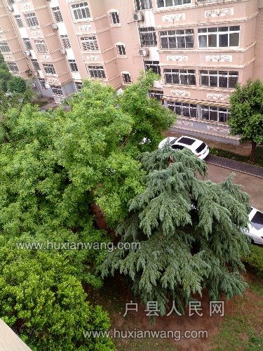 IMG_20190428_124446_HDR.jpg