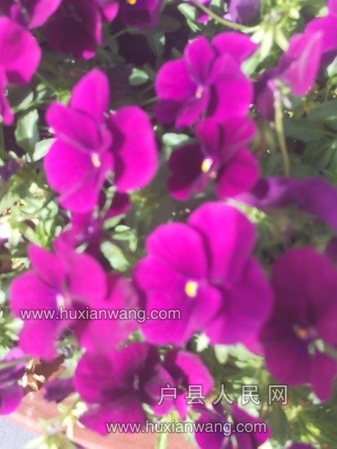 IMG20190425094410.jpg