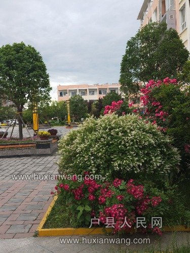 IMG20190508161649.jpg