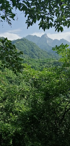 IMG_20190607_153948.jpg