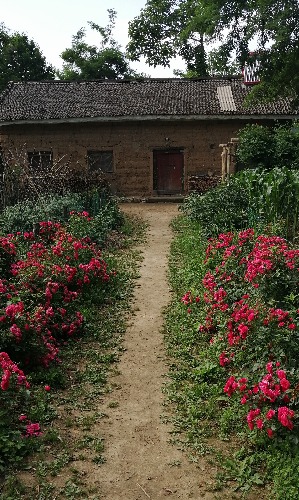 IMG_20190607_230514.jpg