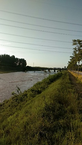 wx_camera_1561719237486.jpg