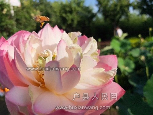 IMG20190628184156.jpg