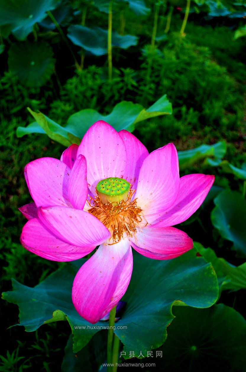 DSC_2544.JPG
