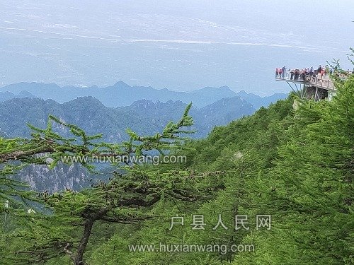 IMG20190630143302.jpg