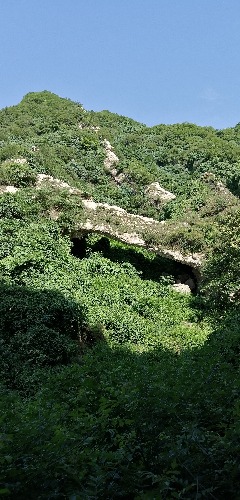 IMG_20190705_161636.jpg