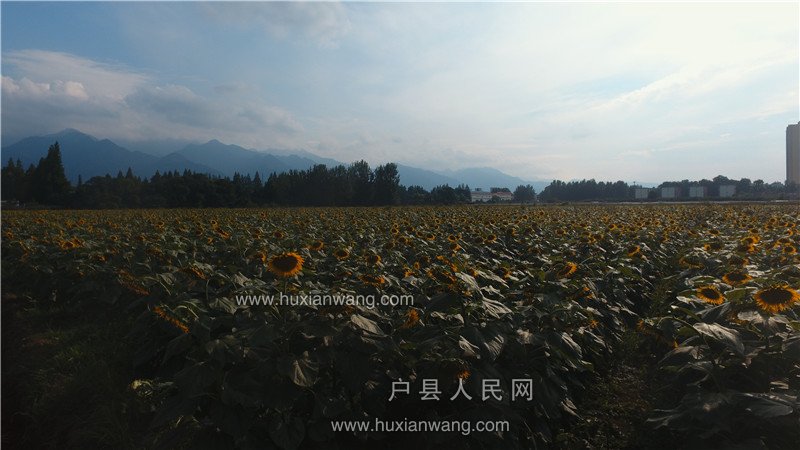 DJI_0026.JPG