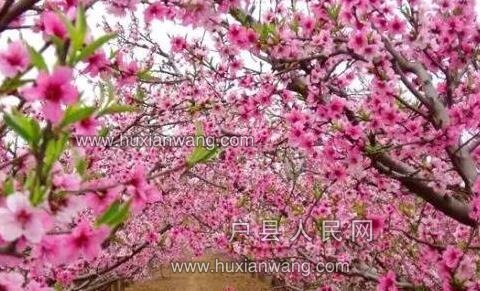 QQ%E6%88%AA%E5%9B%BE20170321164015.jpg